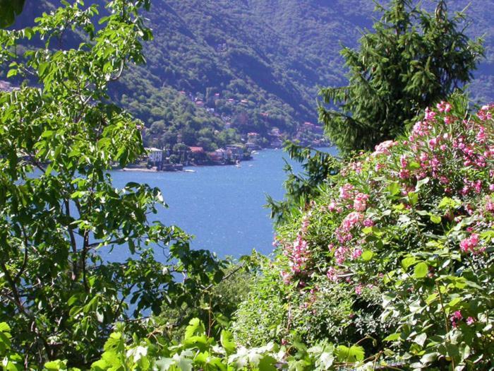 Sonia - Musica & Aperol Panorama-Fewo Daire Pognana Lario Dış mekan fotoğraf